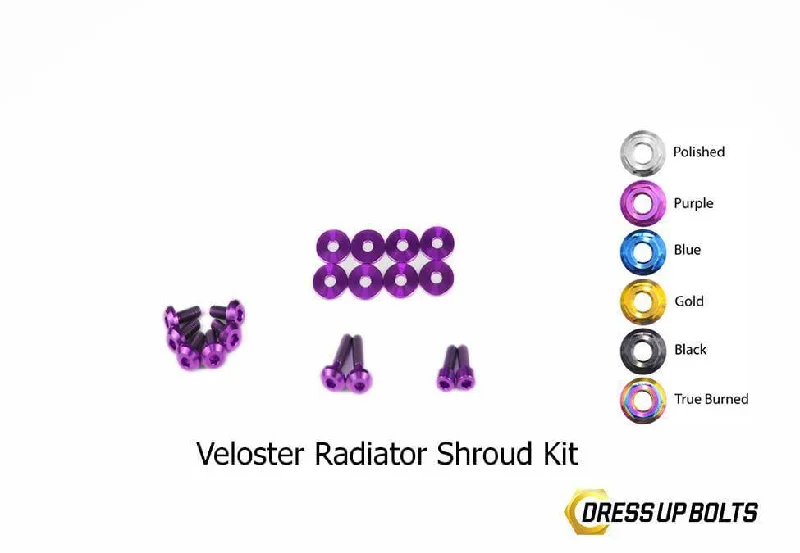 Dress Up Bolts Titanium Hardware Radiator Shroud Kit - Hyundai Veloster (2012-2018) Tunics Vintage classic